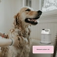 thumbnail image 5 of Begley’s Waterless Pet Shampoo Refill No Rinse Deodorizer 64Oz, Citrus, 5 of 7