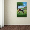 thumbnail image 3 of Trademark Fine Art 'Animal 77' Canvas Art by Lantern Press, 3 of 3