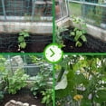 thumbnail image 4 of Plant Trellis Pergolas, Heavy-Duty Polyester Grow Net, Garden Trellis Netting With Square Mesh For Climbing Plants, Vegetables,, 4 of 7