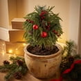 thumbnail image 2 of Uv Resistant Artificial Poinsettia Yard Stake, Realistic Christmas Floral Stake with Frosted Branches, Pine Cones and Berries, for Outdoor Garden and Indoor Tabletop Holiday Decor, 2 of 7
