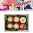 thumbnail image 1 of Casa de muñecas fruta de cocina manzanas de troncos de arcilla fruta de casa de muñecas linda para reuniones familiares ANGGREK Otros, 1 of 8