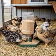 thumbnail image 4 of Quail Feeder and Waterer for Farm,Gravity Auto Poultry Food Dispenser,Dry/Wet Separation,Multi-Functional Water & Feed Container for Chicks,Quails & Small Farm Birds,Green, 4 of 7