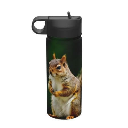 

Picia Squirrels Eating Peanuts On The Tree Pattern 18oz Sports Insulated Kettle With Straw Insulated Water Bottle For Running Hiking Cycling Climbing Men S Woman Insulated Water Bottle