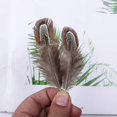 thumbnail image 3 of 100 Pcs 2-3 Inch Natural Pheasant Feathers Bulk Various Colors Natural Feather Crafts Clothing Hat Sewing Decorating, 3 of 5