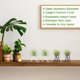 thumbnail image 5 of Uxcell 2-Pack Soportes Geométricos para Plantas Aéreas, Soporte de Metal Moderno 1014 para Pequeñas Plantas de Interior y Exterior [Blanco, Negro, 3.9" H], 5 of 6