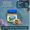 thumbnail image 3 of Grasshoppers, Freeze Dried Grasshoppers for Monster Fish, Reptiles, Turtles, Tortoises, Frogs, Hamsters, Birds, Rodents 1.85oz Canister, 3 of 5