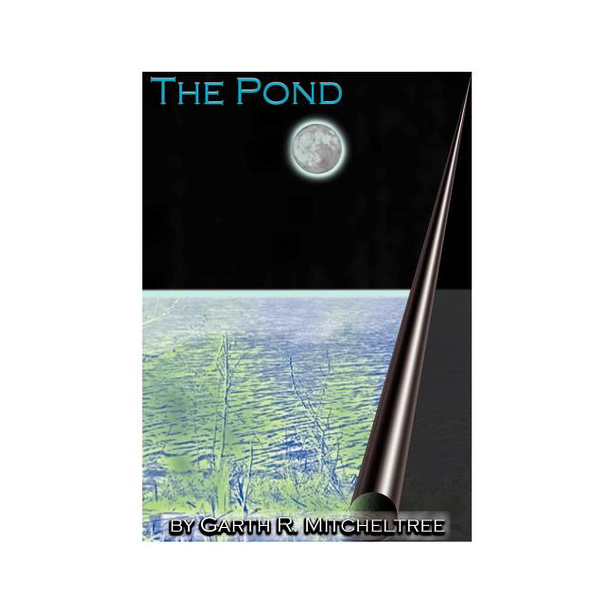 The Pond (Paperback)