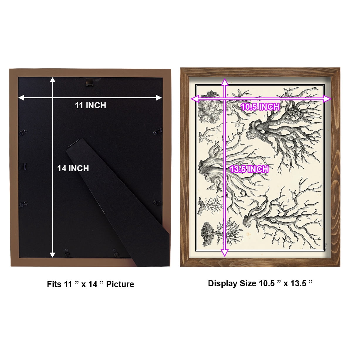 Aegean Collection III -Framed Print w/glass-Walnut