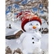 thumbnail image 1 of Cuadros Decorativos 5D diamante pintura DIY muñeco de nieve completo redondo taladro Rhinestone Kit DQrwqpou Nuevos Originales, 1 of 8