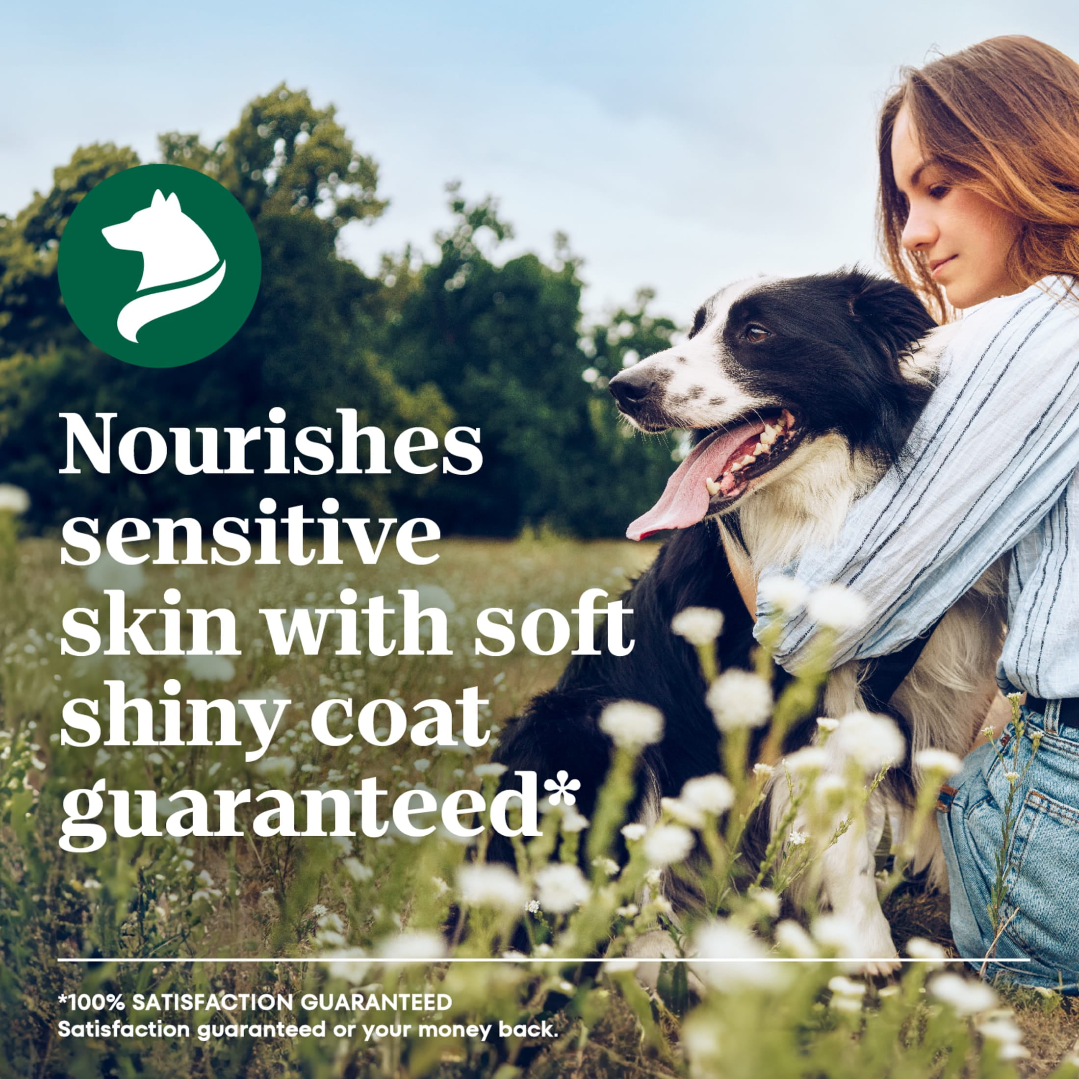 Nutro Limited Ingredient Diet Adult Dry Dog Food, Lamb & Sweet Potato Recipe, 22 lbs.