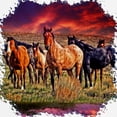thumbnail image 3 of CafePress - Sunset Horses Toddler T Shirt - Cute Toddler T-Shirt, 100% Cotton, 3 of 4