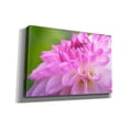 thumbnail image 2 of Epic Graffiti 'Cerise Pink Dahlia' by Cora Niele, Canvas Wall Art, 18"x12", 2 of 8