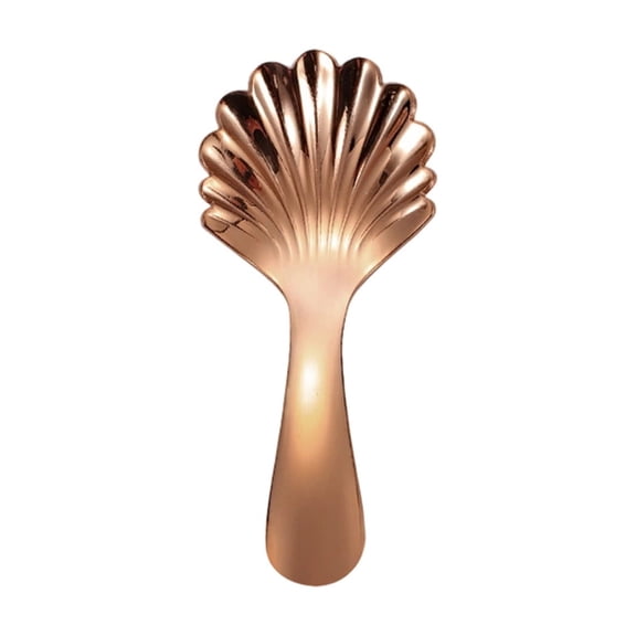 Shell Shaped Mini Salt Spoons Stainless Steel Short Handle Spoons Coffee Scoops Candy Scoopers for Sauces Tea Sugar Salt Spices Jars Honey Desserts 3.8inch Scalloped Sugar Spoon