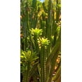 thumbnail image 2 of Tenoever, William 18x32 Gold Ornate Wood Framed with Double Matting Museum Art Print Titled - Nursery, 2 of 4