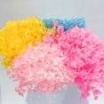 thumbnail image 4 of POINTERTECK 1 Boîte Fleurs Séchées Résistantes aux Couleurs Têtes d'Hortensia Réalistes Naturelles Exquises pour Mariage, 4 of 10