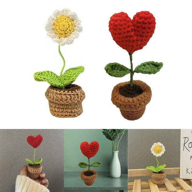 2pcs Handmade DIY Beginner Crochet for Adults Starters perfecl equipos de ganchillo