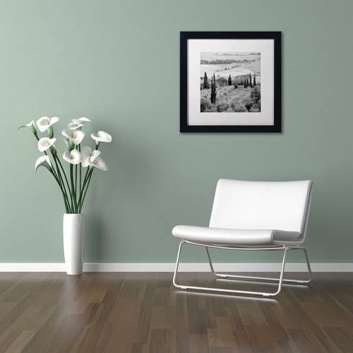 Trademark Fine Art "Tuscany X" Canvas Art by Alan Blaustein, White Matte, Black Frame