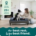 thumbnail image 5 of FurHaven Modern Dog & Cat Bed Frame, Walnut Veneer, Jumbo (40-in), 1 Count, 5 of 8