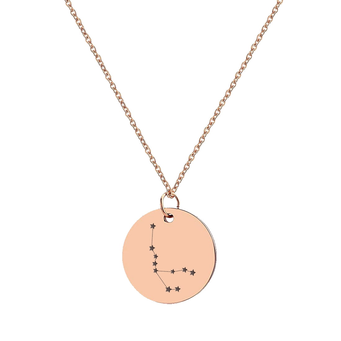 Anavia Round Aquarius Constellation Zodiac Star Sign Stainless Steel Rose Gold Disc 22mm Pendant Jewelry with Gift Box