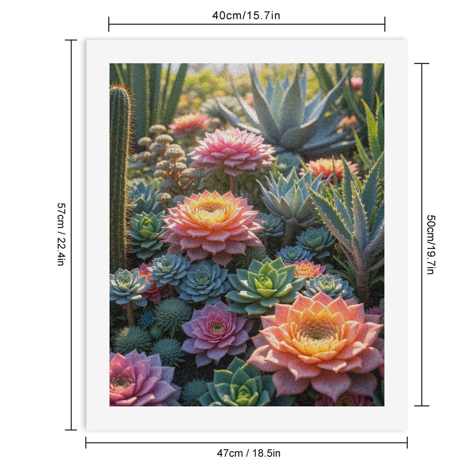 Paint By Numbers Kit for Adults Beginner - DIY Multicolored Vibrant Cactus Garden Canvas Painting Kits for Adults, Frameless Paint By Number for Adults for Home Wall Decor 16x20 Inch