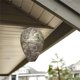 thumbnail image 2 of Popular! Waterproof Decoys Hanging Deterrents Fake Cloth Bee Decoy Deterrent For Home And Garden OutdoorsClearance, 2 of 5