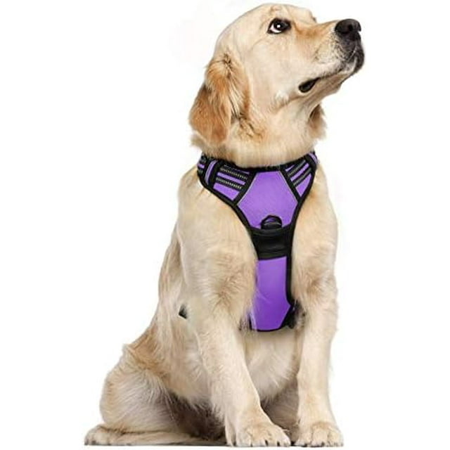 rabbitgoo Dog Harness No-Pull Pet Harness with 2 Leash Clips Adjustable Soft Padded Dog Vest Reflective No-Choke Pet Oxford Vest with Easy Control Handle for Large Dogs Orange L