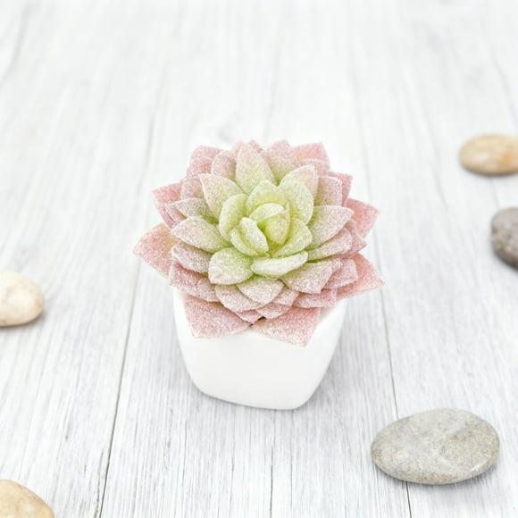 Lifelike Succulent Arrangement in Modern Planter for Home Desk Shelf Mantel Centerpiece