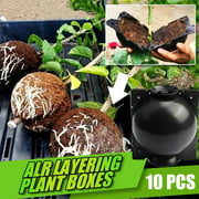 Angle View: 10x Plant Root Grafting Box Propagation Clone Ball Outdoor Garden Soil Cultivate