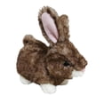 thumbnail image 3 of Way to Celebrate Small Tiedye Plush , brown  7inch, 3 of 3