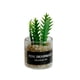 thumbnail image 5 of Bonsái en maceta para casa de muñecas, modelado de adornos verdes, mini juguetes para casa de muñecas, estilo F, 5 of 9