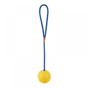 Training Ball with Rope Exercise and Reward Toy for Dogs Indestructible Dog Toy Ball with Handle for Training Pull Throw Toy tug Toy Dogs Fetch Toys