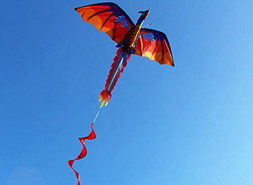 Hengda Single Line Kite Dragon Easy to Fly For Kids Adults Boys Girls 55inx62in 