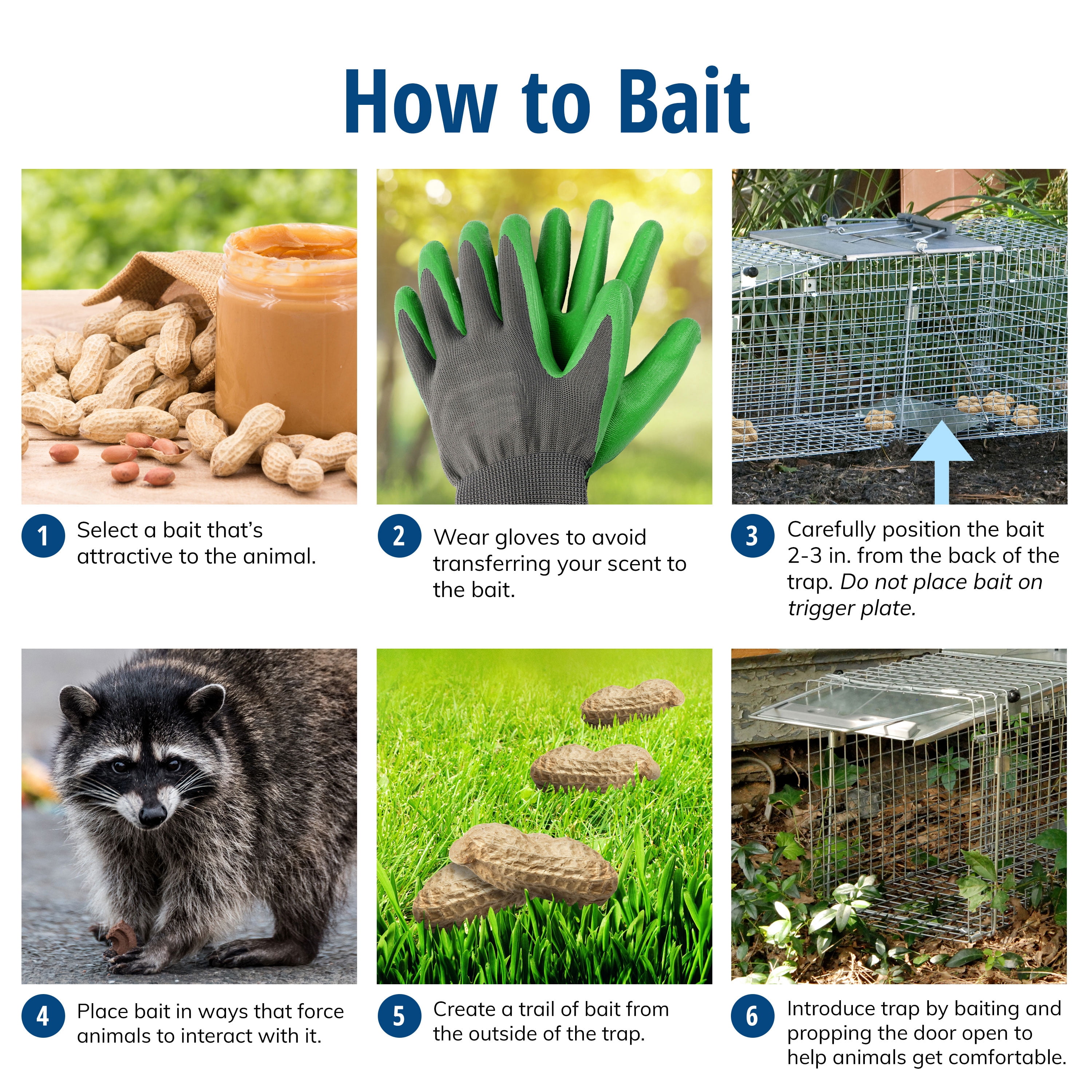 Havahart 1045 Live Animal Raccoon Opossum Groundhog Cage Trap