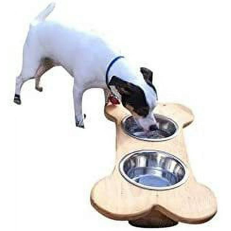Elevated Dog Bowls with Stand, Raised Dog Feeder for Large Medium Dogs in  Oak