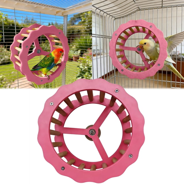 BotaniNest Parrot Exercise Wheel And Steering Interactive Bird Activity Center With Chewable Wooden For Conures Budgies 1pc