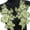 Green, variant on Sewing On Iron On Flower Patches with Sequins Embroidery for Easy Crafting Projects Polyester