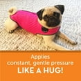 thumbnail image 3 of Thundershirt Dogs Clothing Thundershirt Dog Anxiety Jacket, Fuchsia, XX-Small, 3 of 6