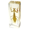 thumbnail image 1 of ED SPELDY EAST PW307 Paperweight  Large  Praying Mantis, 1 of 3