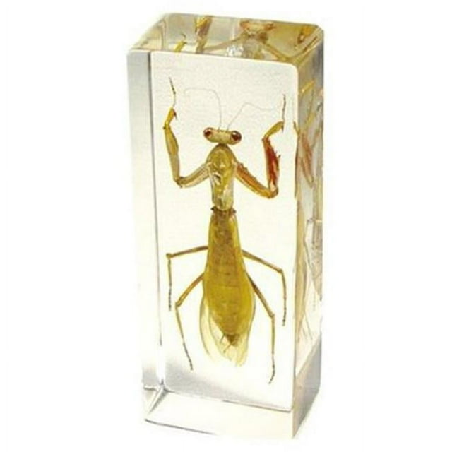 ED SPELDY EAST PW307 Paperweight Large Praying Mantis