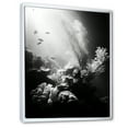 thumbnail image 2 of Designart "Monochrome Subaquatic Tranquility II" Coastal Coral Under Water Floater Framed Canvas Prints, 2 of 5