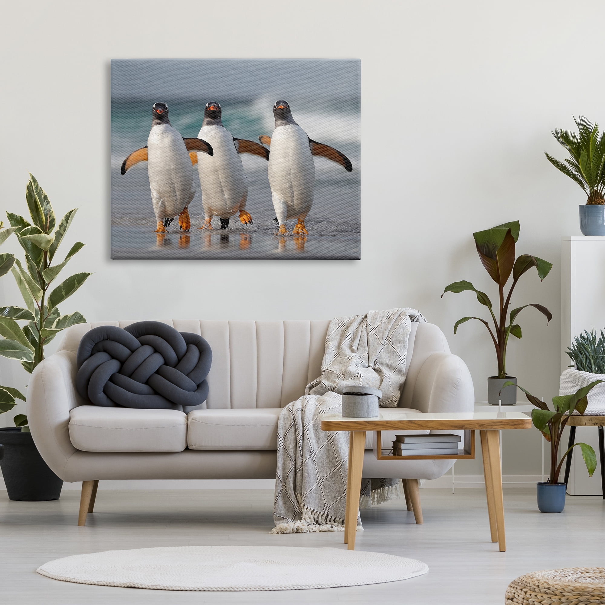 Stupell Industries Penguin Trio on Beach Animals & Insects Photography Gallery Wrapped Canvas Art Print Wall Art, 48 x 36