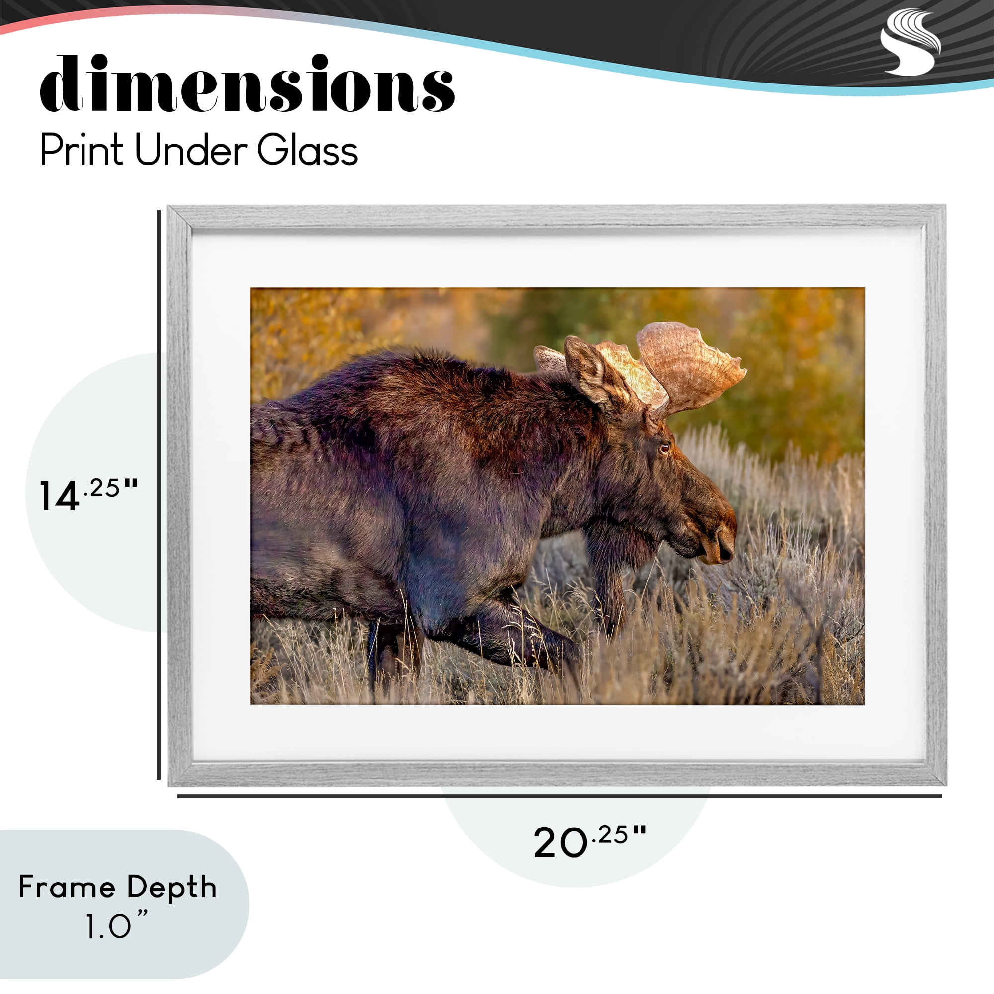 Stupell Industries Bull Moose At Dusk Gray Framed Print Under Glass, design by Shelley Carlisle