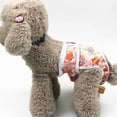 thumbnail image 2 of Female Dog Diapers  Female Dog Physiological Sanitary Pants Reusable and Washable Anti-Harassment Pants For Small  Medium Large Dogs, 2 of 8