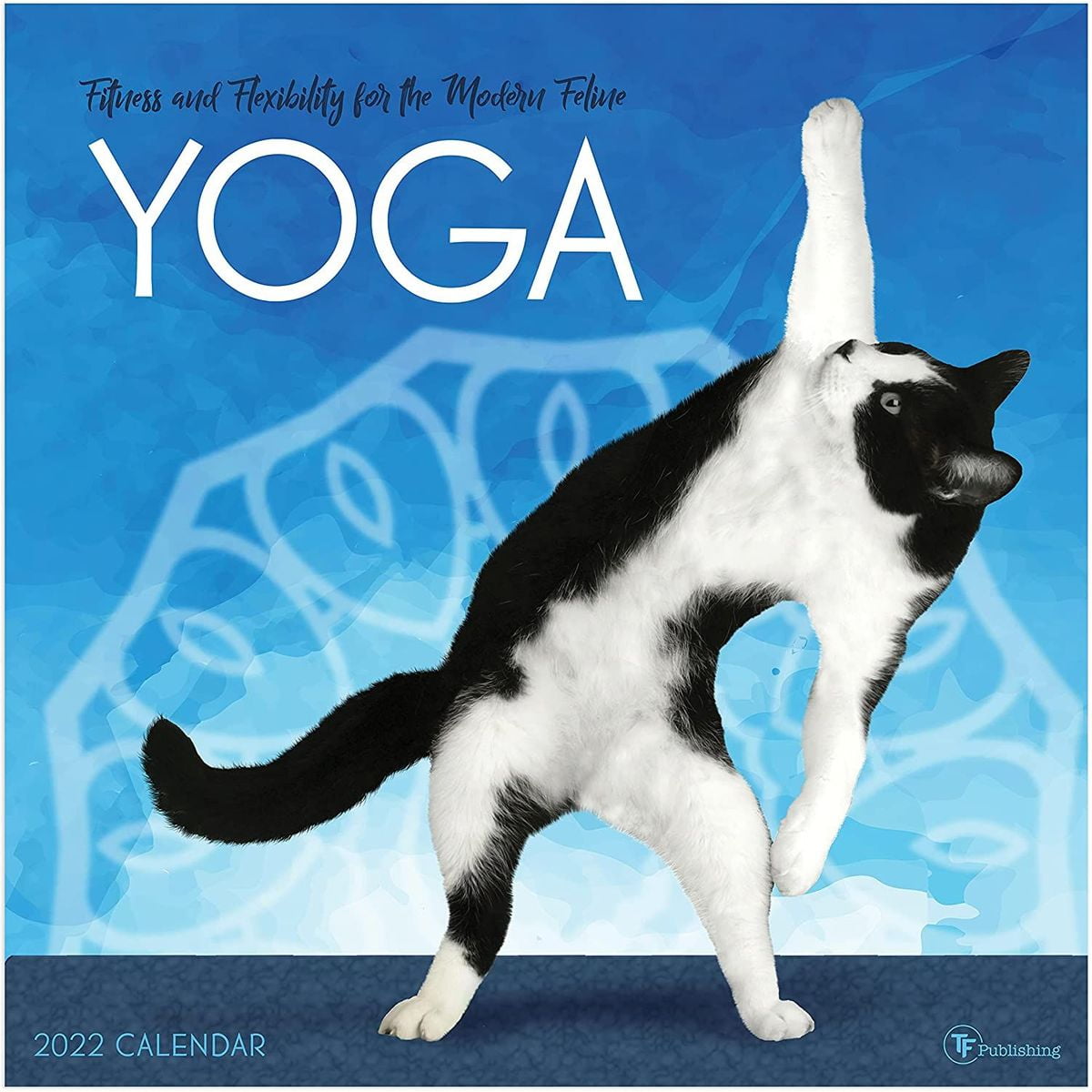 2023 Cat Calendar 2022 2023 Cat Monthly Wall Calendar, 16 Month, Large Monthly Grid, Cats Yoga Fitness Theme, 12