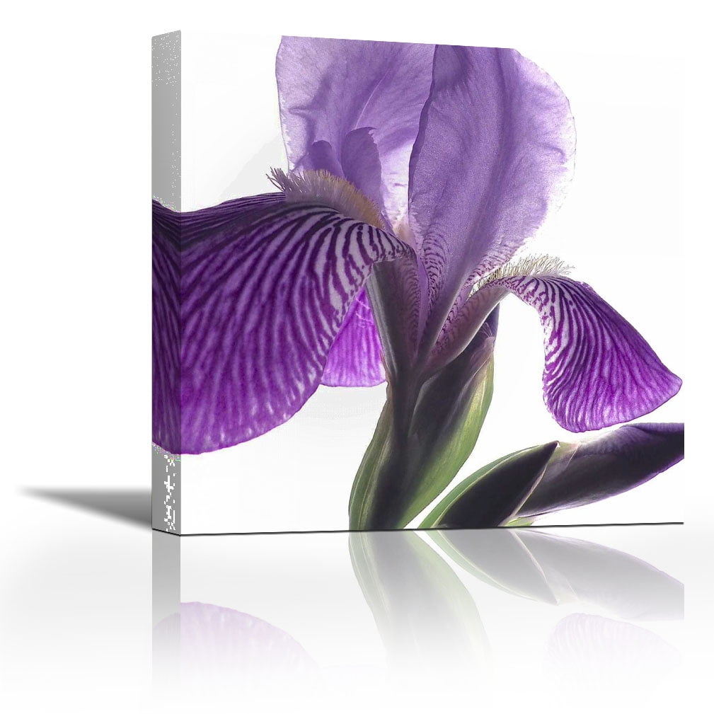 Purple Iris IV Contemporary Fine Art Giclee on Canvas Gallery Wrap