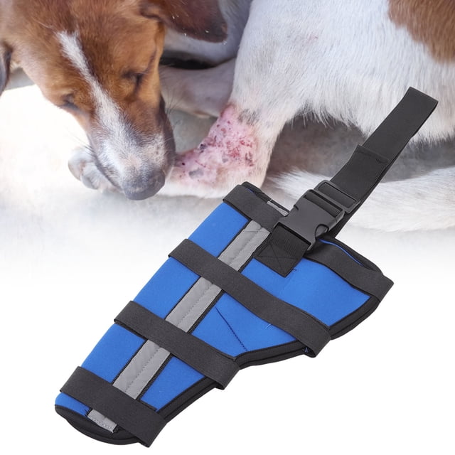 Soporte para patas traseras de perro soporte para el corvejón de la pierna trasera del perro para curar el dolor proporciona apoyo para la recuperación de la cirugía ANGGREK Otros