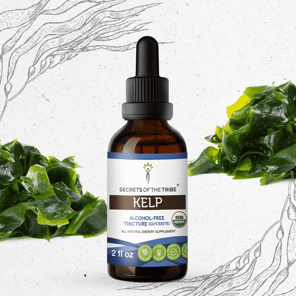 Secrets Of The Tribe Kelp Organic Tincture Dietary Supplement, Natural Herbal Extract for Thyroid Support, Certified Organic Kelp (Ascophyllum nodosum) Dried Plant, Alcohol-Free Extract, Drops 2 oz