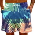 thumbnail image 4 of IROINNID Men's Dry-Fit Sweat Beach Casual Trouser Resistant Active Athletic Performance Shorts, 4 of 9