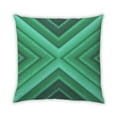 thumbnail image 1 of Ahgly Company Indoor Square Contemporary Throw Pillow, 18 inch by 18 inch, 1 of 5