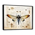 thumbnail image 3 of Designart "Blueprint of Moth in Beige and Yellow" Extra Large Animals Framed Wall Art - Modern Beige Insects & Bugs Bedroom Framed Canvas Wall Art, 3 of 7